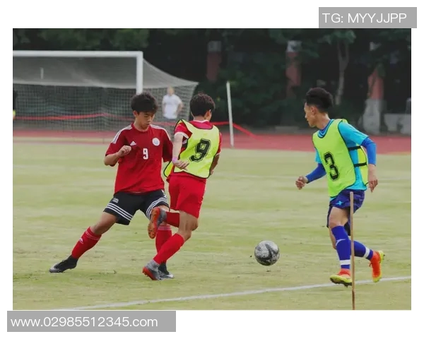 南京足球队比赛经验分析与成长之路探讨