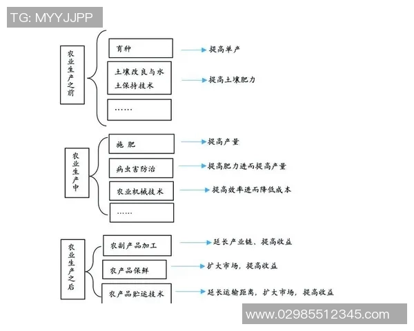 棉农与波斯波利的对比分析探讨农业与体育的相互影响与发展潜力