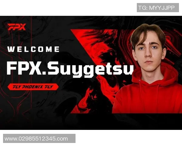 独家解析FPX技术优势与劣势的全面对比分析MBA