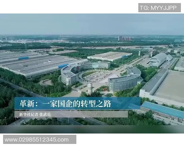 上海排球队进攻革新之路：技术创新与战术变革的深度解析