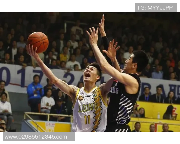 刘铮的奋斗历程与篮球梦想：从青涩少年到职业球员的成长之路