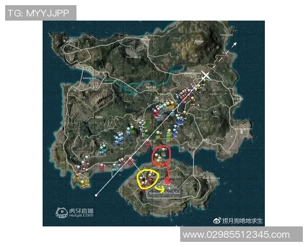 南京篮球队战术解析与对手策略全面对比分析